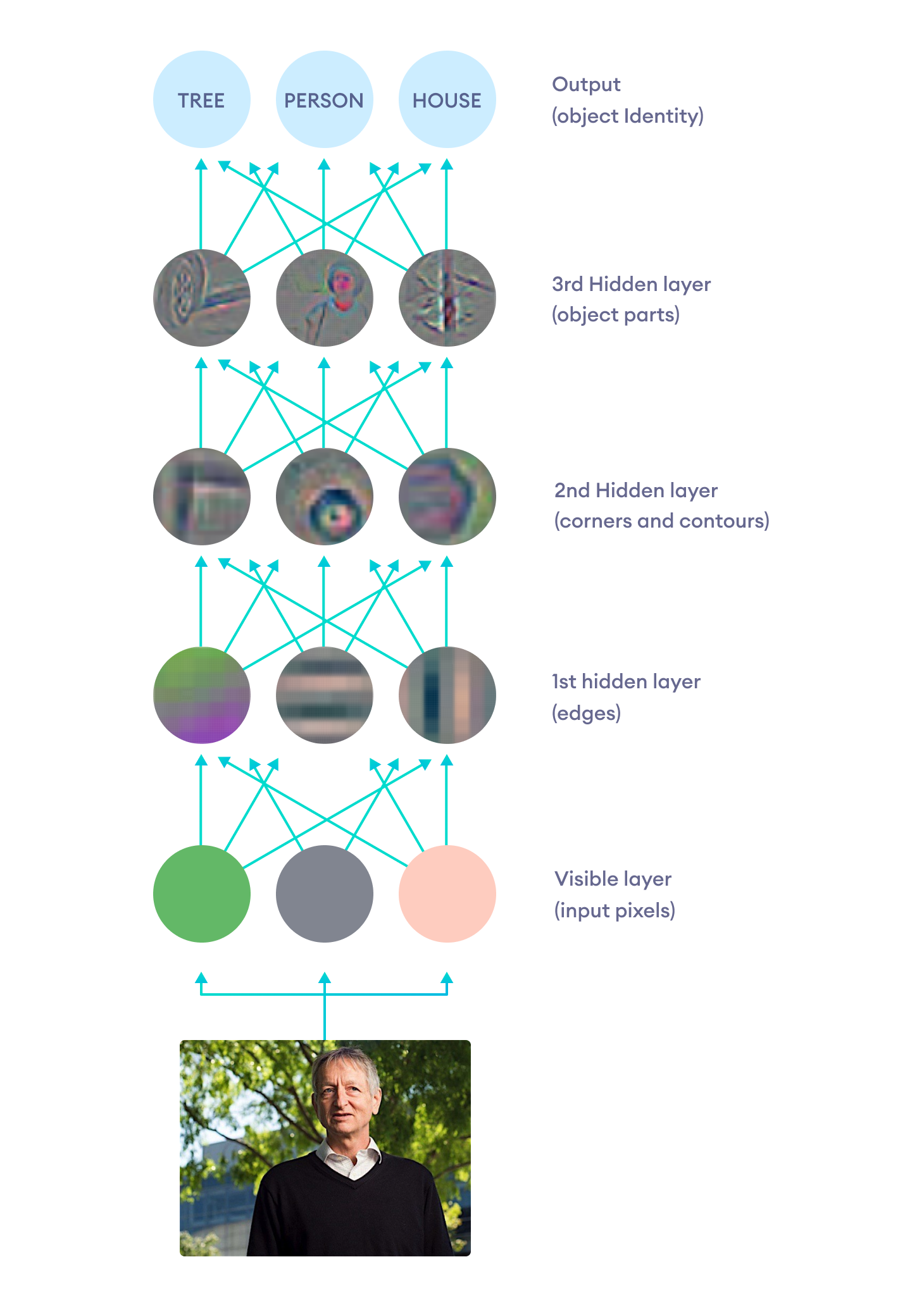 Illustration of how deep neural networks build complex representations from simpler ones