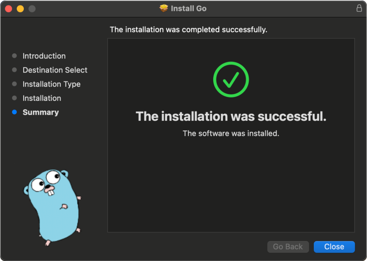 Go Installation Successful