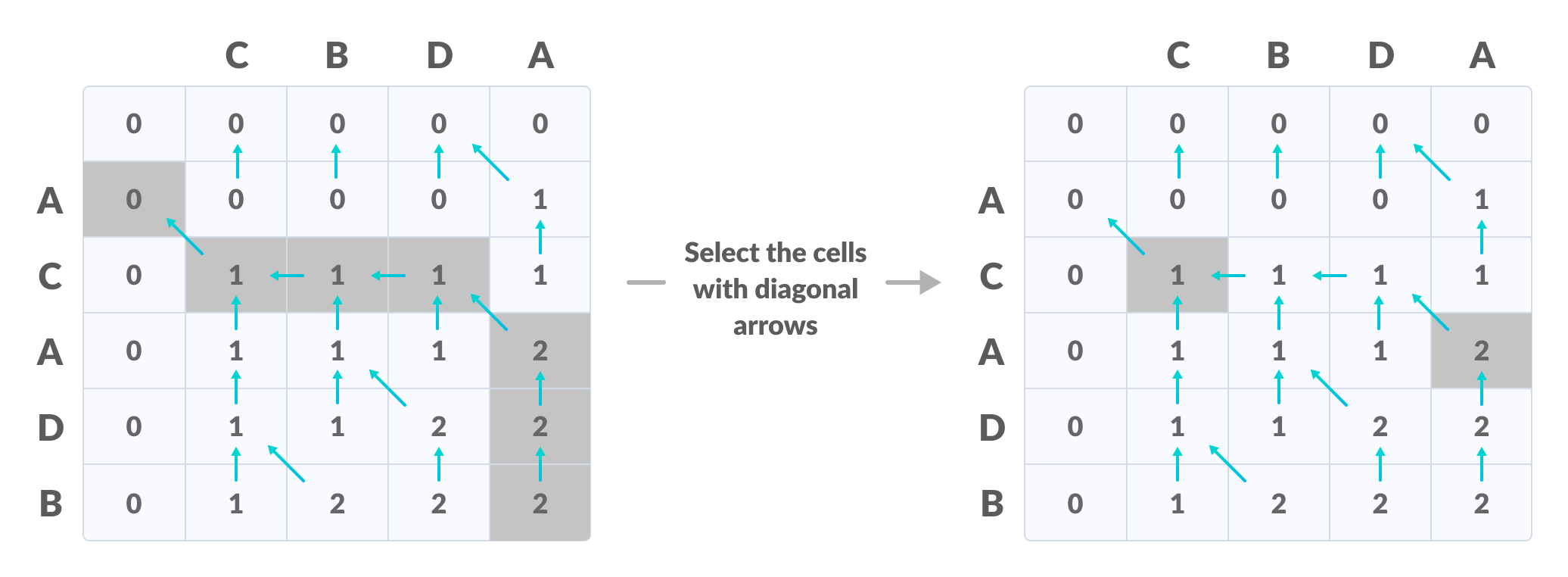 Longest Common Subsequence create a path